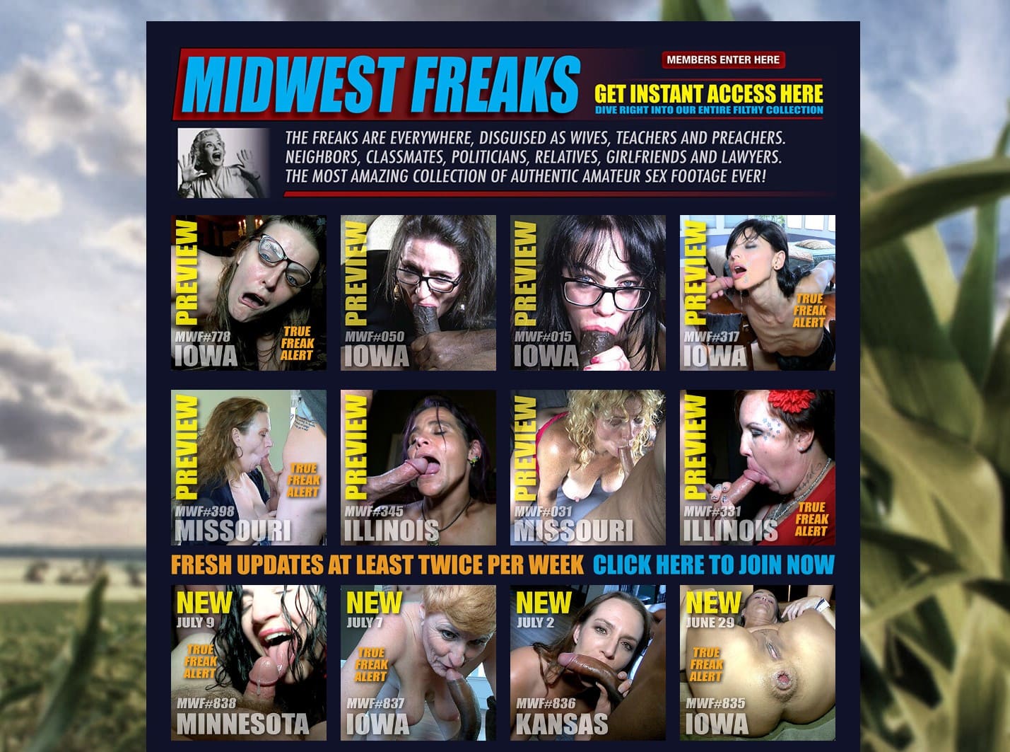 MidwestFreaks.com – SiteRip [Part 2]